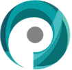 Paragon Poly